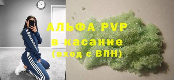 ПСИЛОЦИБИНОВЫЕ ГРИБЫ Иннополис