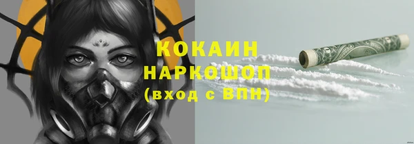 дживик Абинск