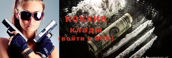МДПВ Козельск